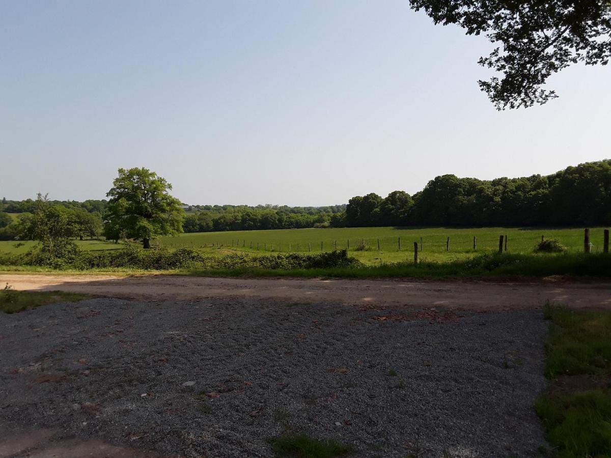 Bed and Breakfast Domaine Du Bois Chaumet Couzon Exterior foto